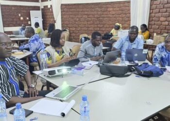 Urgences sanitaires : au Burkina Faso, vers un plan national pour mieux faire face aux pandémies.