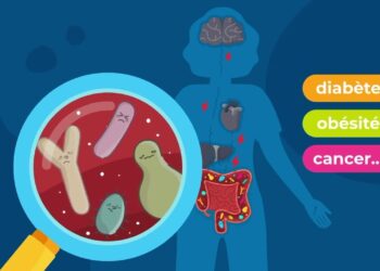 Cancer, diabète, obésité : l’OMS élargit l’accès aux traitements vitaux.