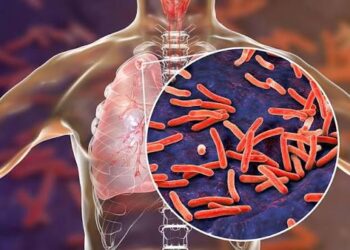 Tuberculose, Paludisme, VIH : le Sénégal consolide son partenariat avec le Fonds mondial.
